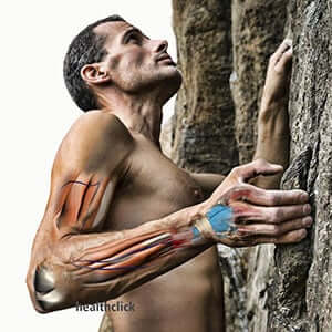 The Post Surgical Elbow, Wrist and Hand