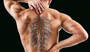 Thoracic Spine continuing education course for PT and PTA