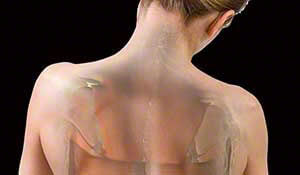Myofascial Release - From Surface to the Depths- Physical therapy continuing education course