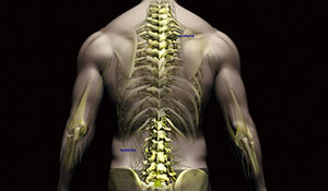 Post Surgical Cervical and Lumbar Spine Rehab
