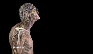 anatomical skeletal side view of an older man detailing improper posture and the rehabilitation of the older patients posture