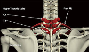 Physical Therapy Continuing Education