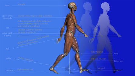Chapter Details and Course Objectives for this Gait Training Physical Therapy Course